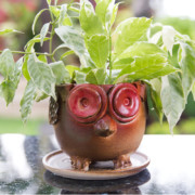 ceramic animal planter - owl, studio pottery, indian pottery, handmade