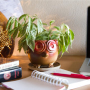 ceramic animal planter - owl, studio pottery, indian pottery, handmade