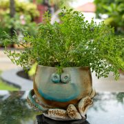 ceramic animal planter - studio pottery, indian pottery, handmade, octopus planter